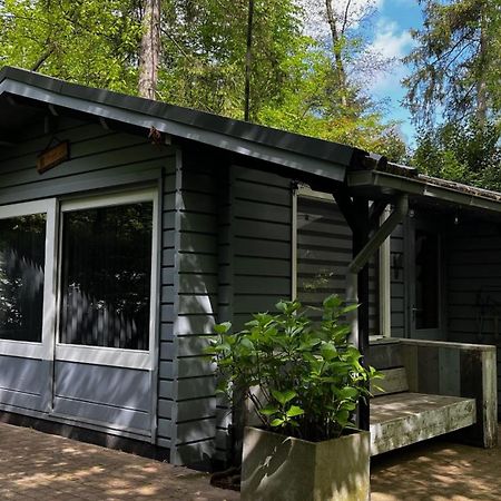 Dreamwoodz - Een Droomchalet Op De Veluwe Laag-Soeren Екстериор снимка