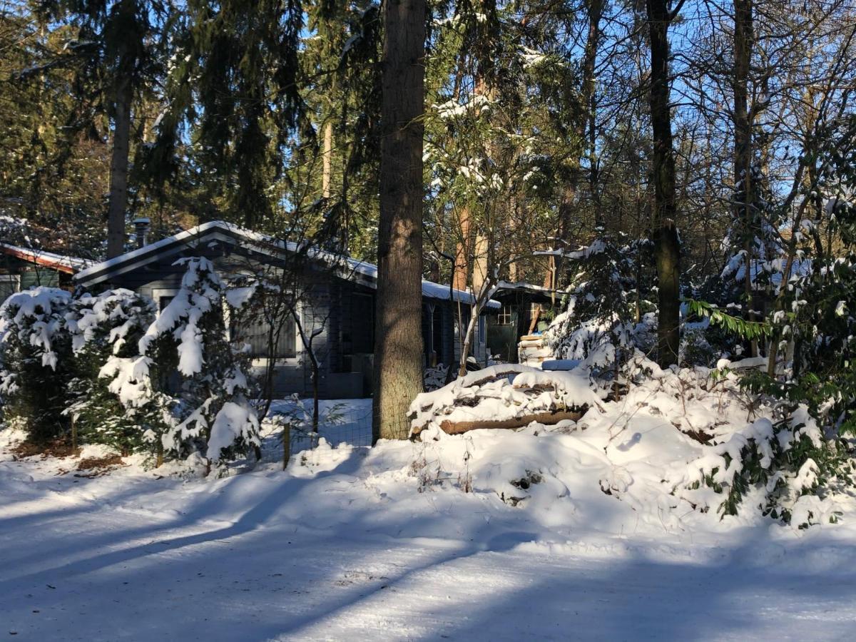 Dreamwoodz - Een Droomchalet Op De Veluwe Laag-Soeren Екстериор снимка