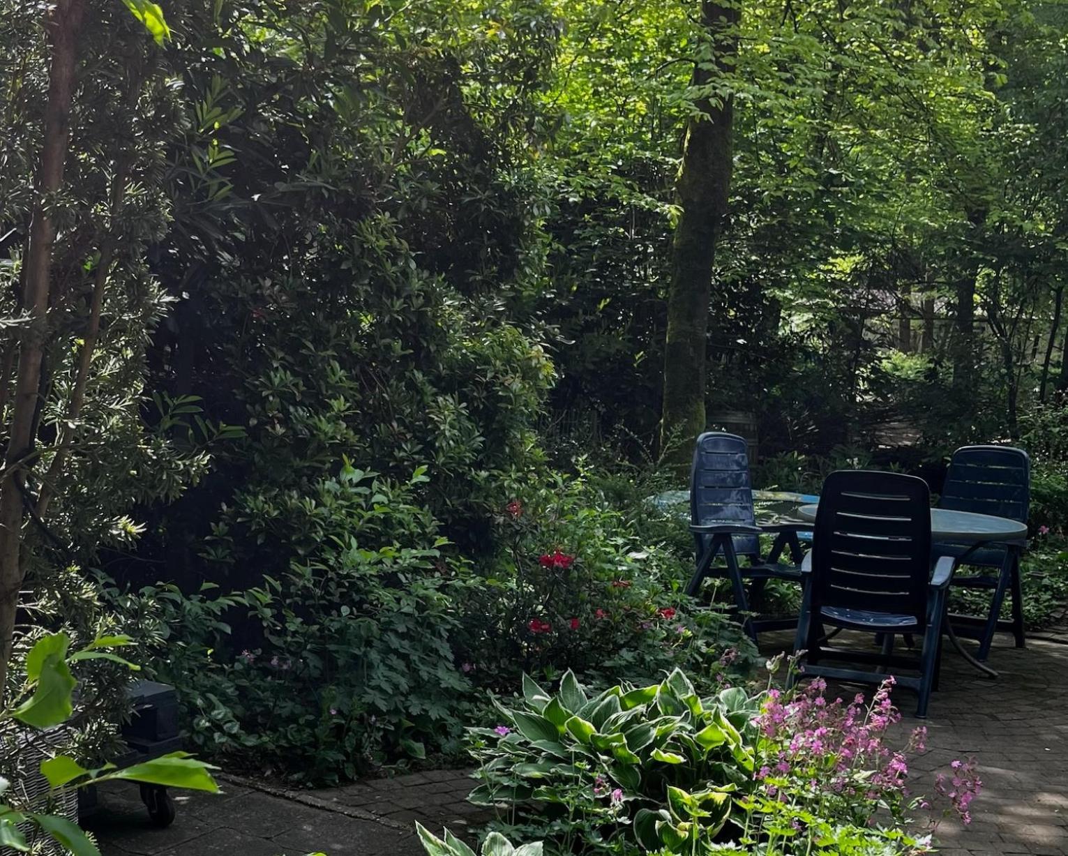 Dreamwoodz - Een Droomchalet Op De Veluwe Laag-Soeren Екстериор снимка