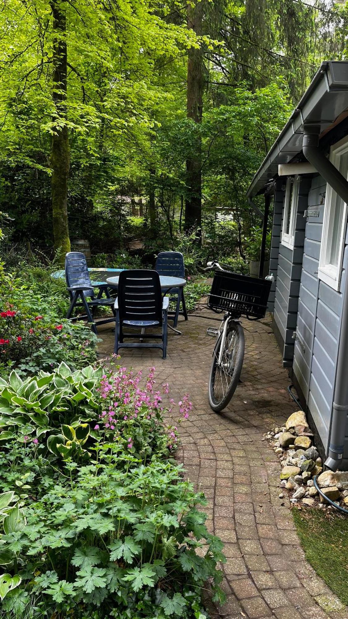 Dreamwoodz - Een Droomchalet Op De Veluwe Laag-Soeren Екстериор снимка